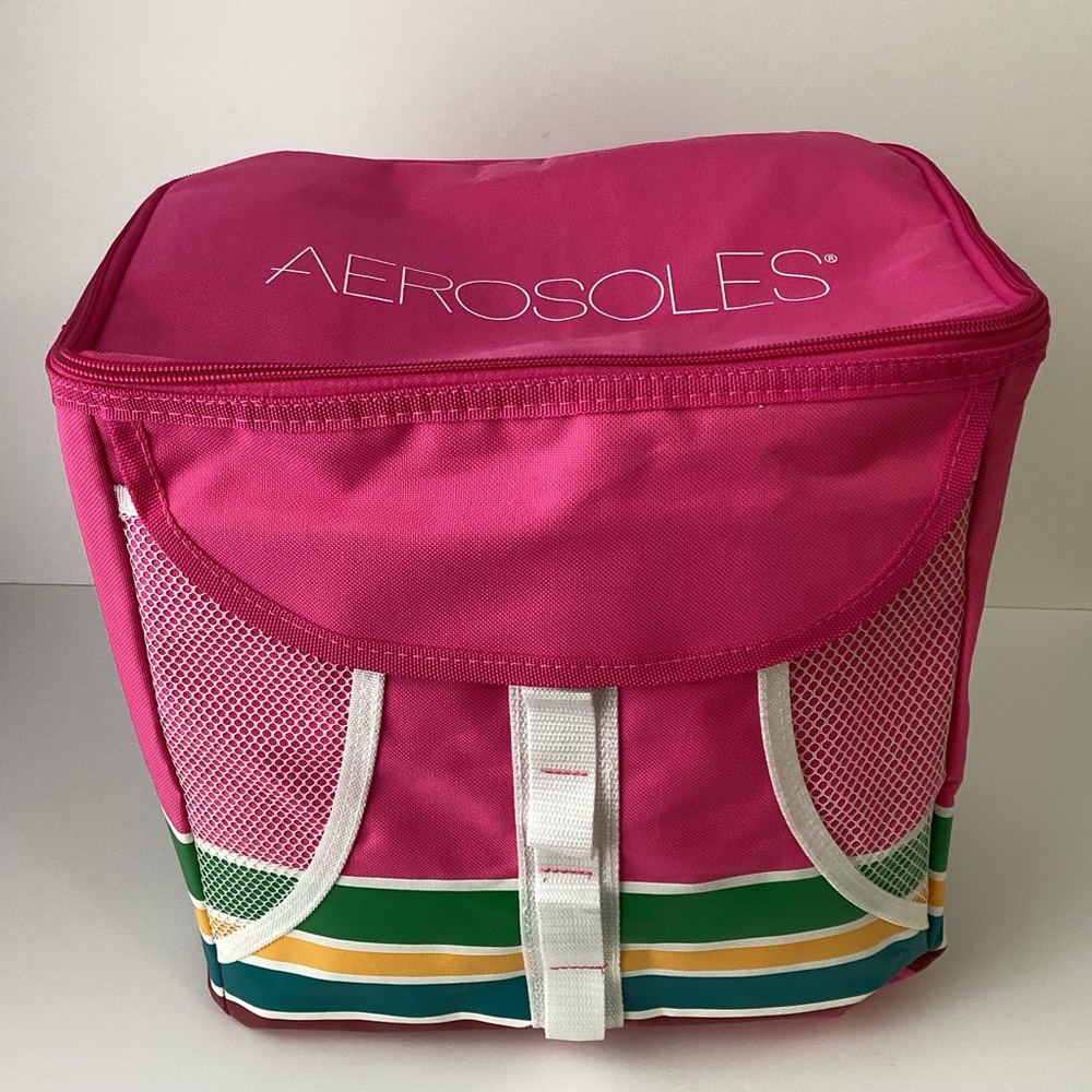 AEROSOLES: thermal lined insulated cooler bag